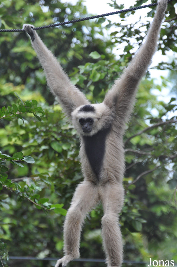 Phnom Tamao Zoo and Wildlife Rescue Center (PTWRC)