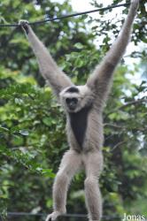 Phnom Tamao Zoo and Wildlife Rescue Center (PTWRC)