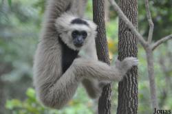 Phnom Tamao Zoo and Wildlife Rescue Center (PTWRC)