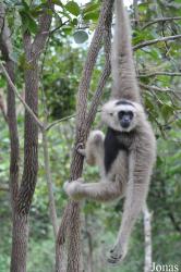 Phnom Tamao Zoo and Wildlife Rescue Center (PTWRC)