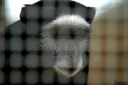 Zoo de Carmona