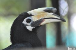Phnom Tamao Zoo and Wildlife Rescue Center (PTWRC)
