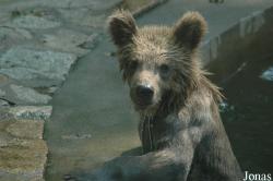 Shanghai Zoo