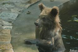 Shanghai Zoo