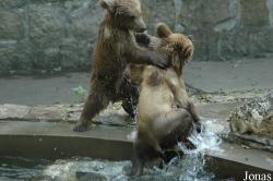 Shanghai Zoo