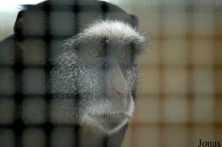 Zoo de Carmona