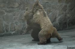 Shanghai Zoo