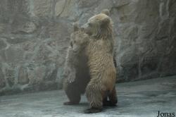Shanghai Zoo