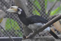 Cu Chi Wildlife Rescue Station