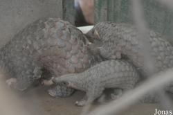 Cu Chi Wildlife Rescue Station