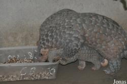 Cu Chi Wildlife Rescue Station