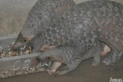 Cu Chi Wildlife Rescue Station