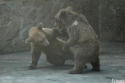Shanghai Zoo