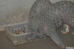 Cu Chi Wildlife Rescue Station
