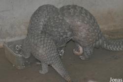 Cu Chi Wildlife Rescue Station