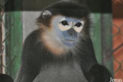 Cu Chi Wildlife Rescue Station
