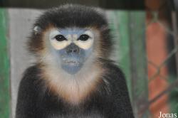 Cu Chi Wildlife Rescue Station
