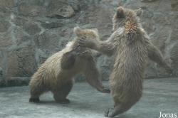 Shanghai Zoo