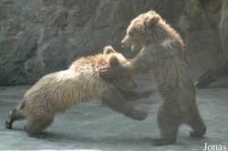 Shanghai Zoo