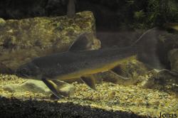 Lakes Aquarium