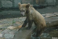 Shanghai Zoo