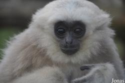 Blackpool Zoo