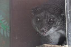 Blackpool Zoo