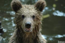 Shanghai Zoo