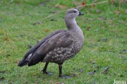 WWT Martin Mere Wetland Centre