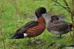 WWT Martin Mere Wetland Centre
