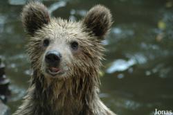 Shanghai Zoo