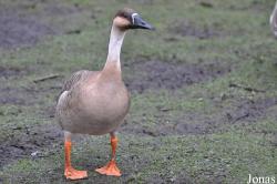 WWT Martin Mere Wetland Centre
