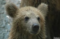 Shanghai Zoo