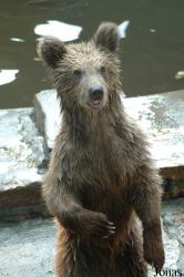 Shanghai Zoo