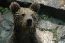 Shanghai Zoo