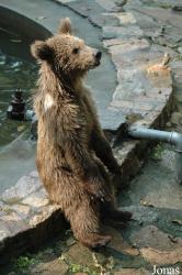 Shanghai Zoo