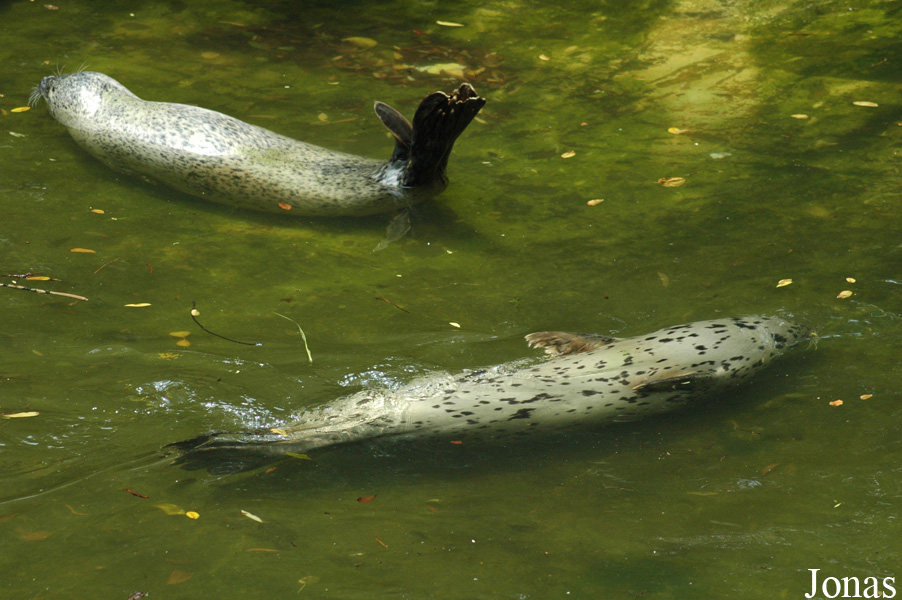 Shanghai Zoo