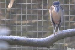 Blackbrook Zoological Park