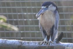 Blackbrook Zoological Park