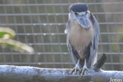 Blackbrook Zoological Park