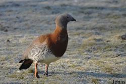 Blackbrook Zoological Park