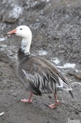 Blackbrook Zoological Park