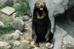 Shanghai Zoo