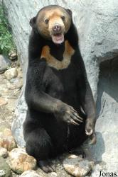 Shanghai Zoo