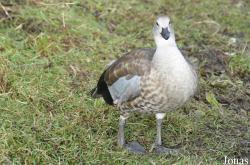 Blackbrook Zoological Park