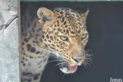 Saigon Zoo & Botanical Gardens