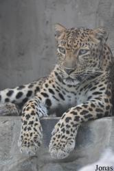 Saigon Zoo & Botanical Gardens