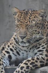 Saigon Zoo & Botanical Gardens