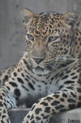 Saigon Zoo & Botanical Gardens