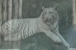 Saigon Zoo & Botanical Gardens